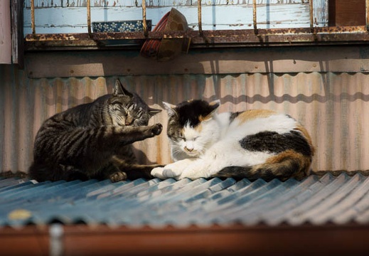 201202281425-DSC02830.jpg