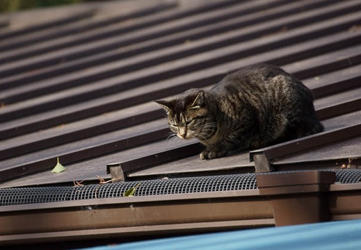 201202281428-DSC02843.jpg