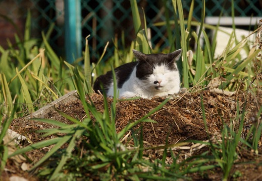201202281432-DSC02860.jpg
