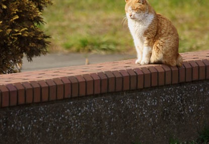 201202281452-DSC02891.jpg