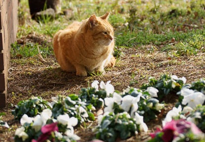 201202281459-DSC02914.jpg