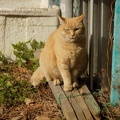 201202281506-DSC02927.jpg