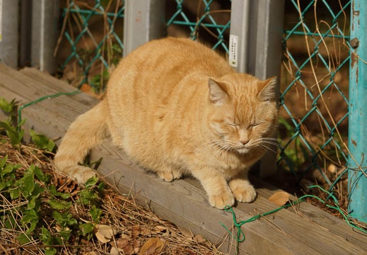 201202281506-DSC02929.jpg