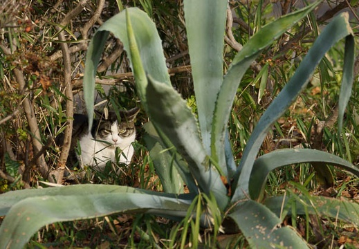 201202281512-DSC02947.jpg