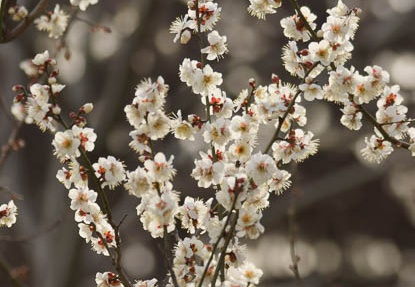 201202281524-DSC02985.jpg