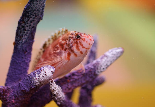 201203021023-DSC03142.jpg