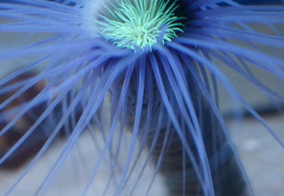 201203021024-DSC03145.jpg