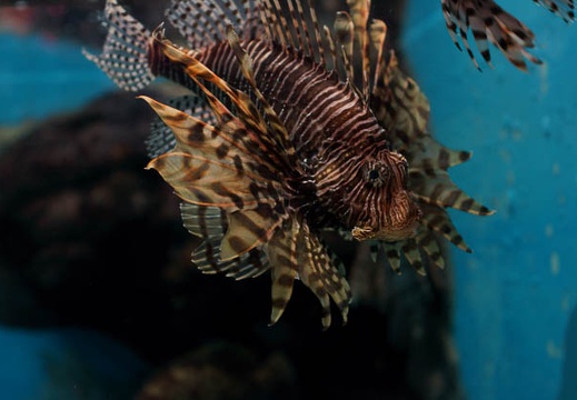 201203021030-DSC03161.jpg