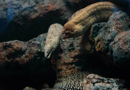 201203021054-DSC03219.jpg