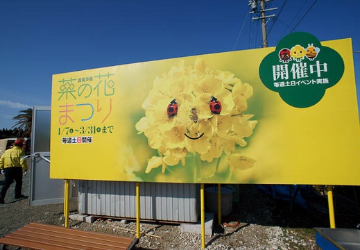 201203030922-DSC04132.jpg