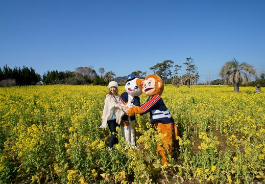 201203030953-DSC04141.jpg