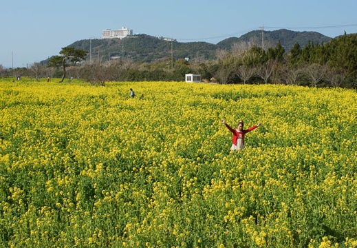 201203031047-DSC03548.jpg