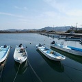 201203031435-DSC04265.jpg