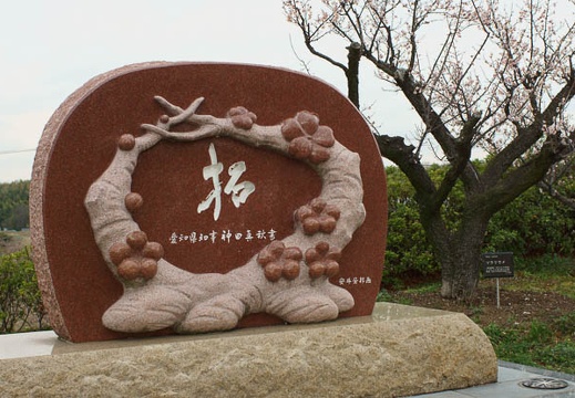 201203061352-DSC05303.jpg
