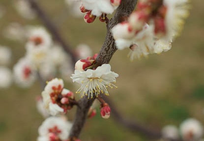 201203061354-DSC05308.jpg