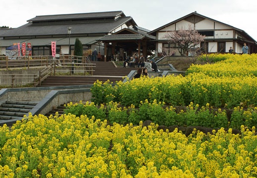 201203061408-DSC05340.jpg
