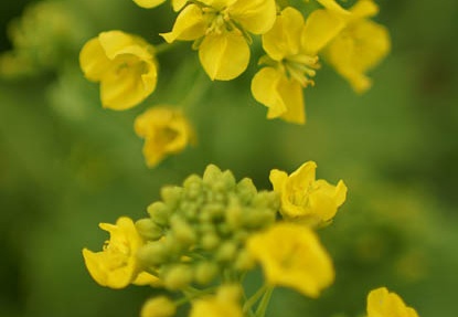 201203061411-DSC05344.jpg
