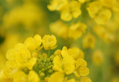 201203061414-DSC05354.jpg