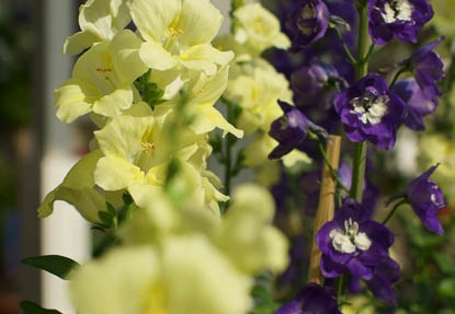 201203061446-DSC05387.jpg