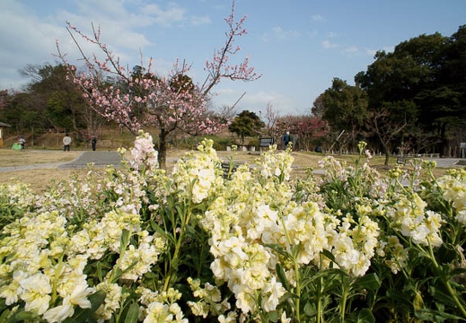 201203061457-DSC04436N.jpg