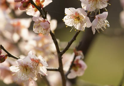 201203061551-DSC05502.jpg