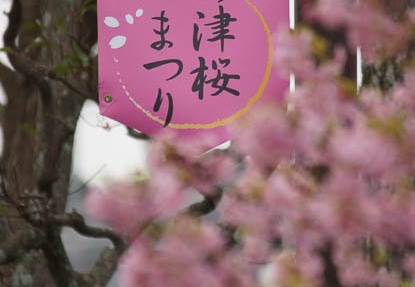 201203070756-DSC05591.jpg
