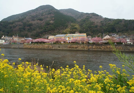 201203070834-DSC04530N.jpg