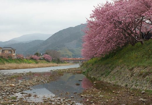 201203071057-DSC05763.jpg