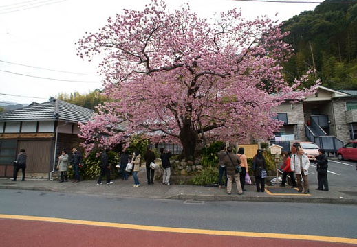 201203071252-DSC04570N.jpg