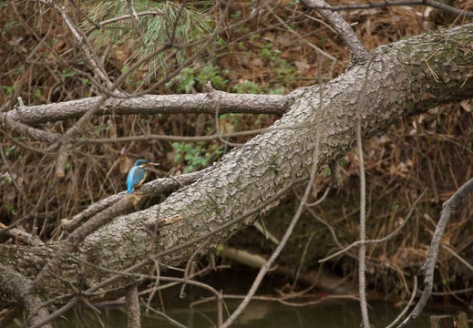 201203121201-DSC06028.jpg