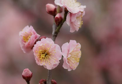 201203121214-DSC06048.jpg