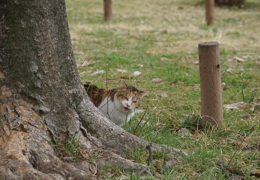 201203121303-DSC06130.jpg