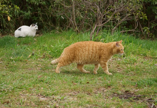 201203121308-DSC06142.jpg