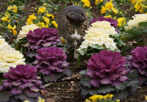 201203121310-DSC06153.jpg