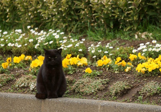 201203121319-DSC06176.jpg
