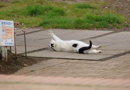 201203121327-DSC06182.jpg