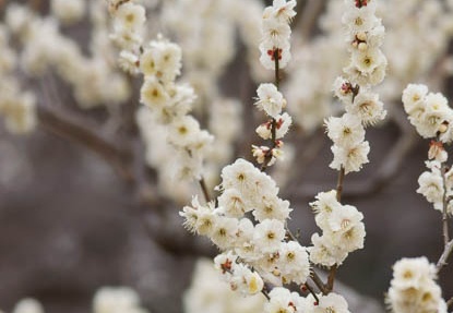201203121446-DSC06259.jpg