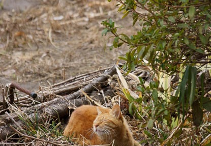 201203121502-DSC06275.jpg
