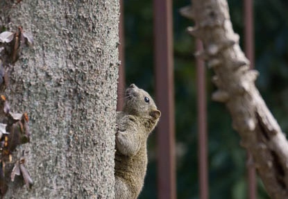 201203131020-DSC06381.jpg