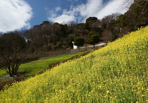 201203131030-DSC06390.jpg