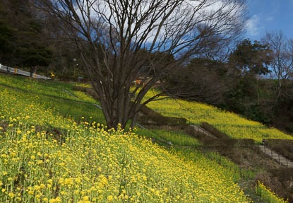 201203131037-DSC06404.jpg