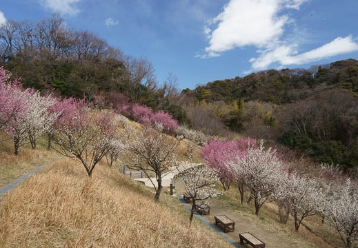 201203131048-DSC06412.jpg