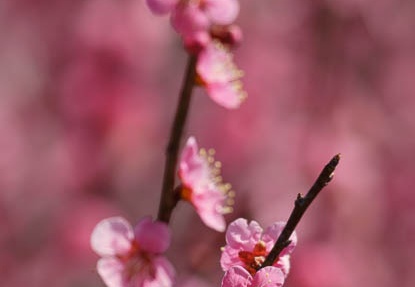 201203131114-DSC06460.jpg