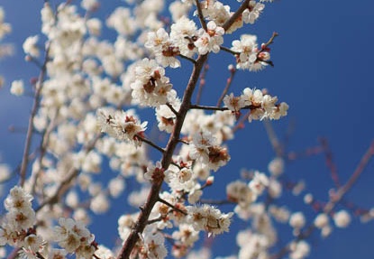 201203131121-DSC06479.jpg