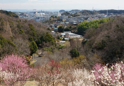 201203131132-DSC06502.jpg