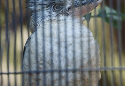 201203131239-DSC06596.jpg