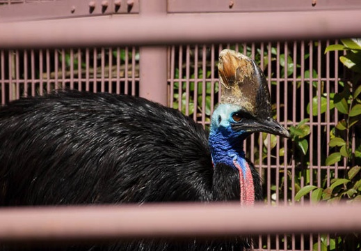 201203131240-DSC06600.jpg