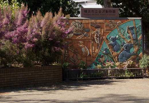 201203131315-DSC06650.jpg