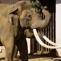 201203131406-DSC06783.jpg