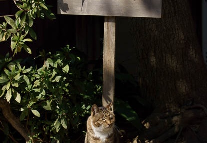 201203141049-DSC06906.jpg